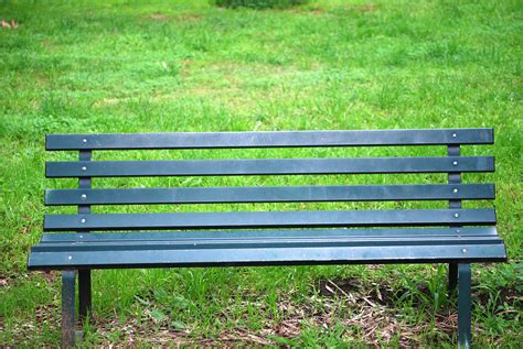 public park blowjob|public blowjob on a park bench